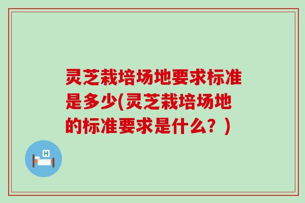 灵芝栽培场地要求标准是多少(灵芝栽培场地的标准要求是什么？)