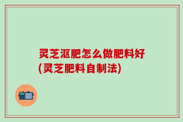 灵芝沤肥怎么做肥料好(灵芝肥料自制法)