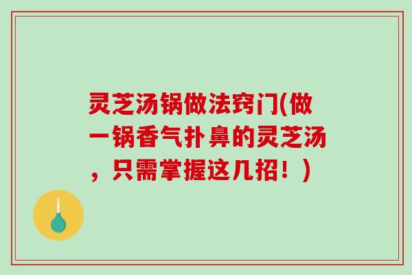 灵芝汤锅做法窍门(做一锅香气扑鼻的灵芝汤，只需掌握这几招！)
