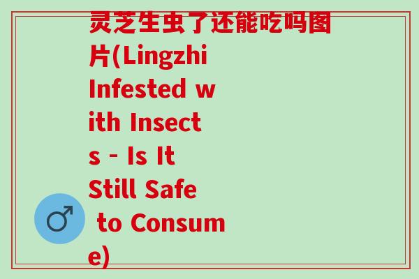 灵芝生虫了还能吃吗图片(Lingzhi Infested with Insects - Is It Still Safe to Consume)