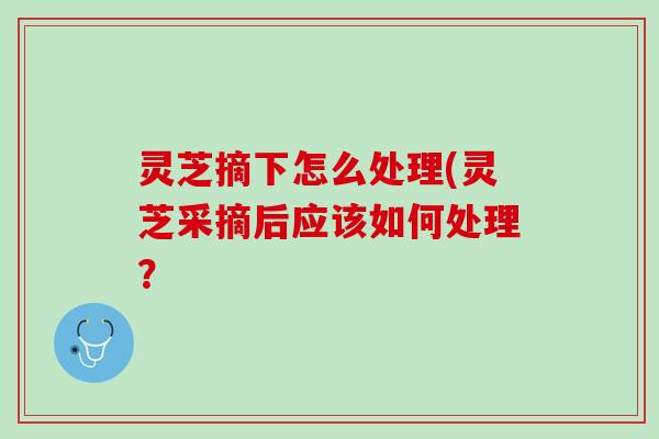 灵芝摘下怎么处理(灵芝采摘后应该如何处理？