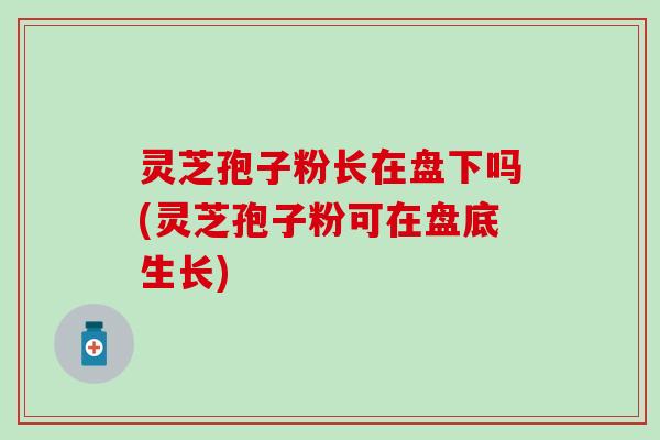 灵芝孢子粉长在盘下吗(灵芝孢子粉可在盘底生长)