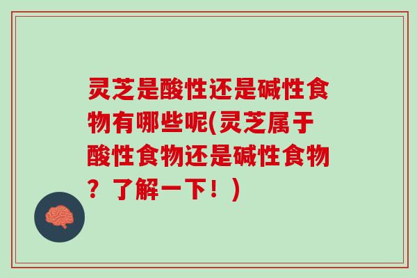 灵芝是酸性还是碱性食物有哪些呢(灵芝属于酸性食物还是碱性食物？了解一下！)