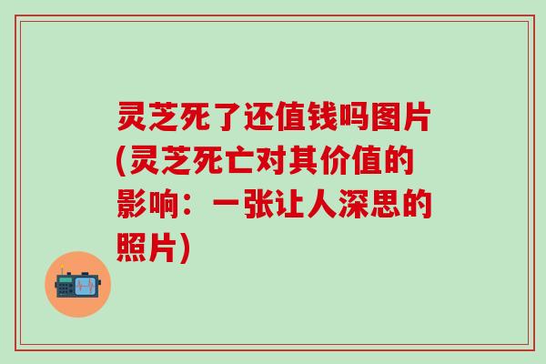 灵芝死了还值钱吗图片(灵芝死亡对其价值的影响：一张让人深思的照片)