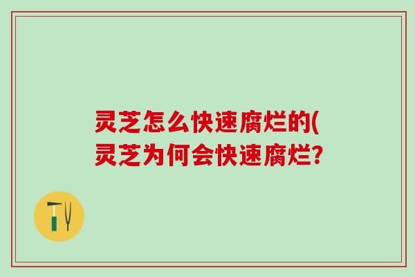 灵芝怎么快速腐烂的(灵芝为何会快速腐烂？