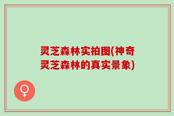 灵芝森林实拍图(神奇灵芝森林的真实景象)