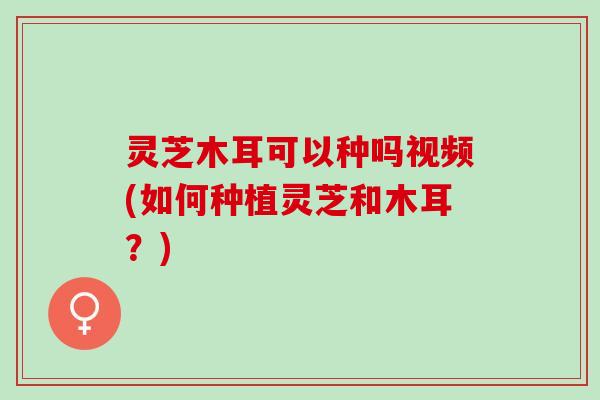 灵芝木耳可以种吗视频(如何种植灵芝和木耳？)