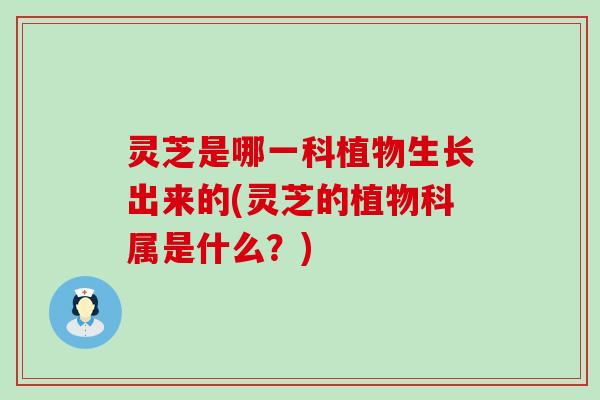 灵芝是哪一科植物生长出来的(灵芝的植物科属是什么？)