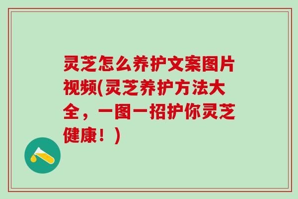 灵芝怎么养护文案图片视频(灵芝养护方法大全，一图一招护你灵芝健康！)