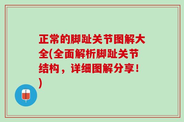 正常的脚趾关节图解大全(全面解析脚趾关节结构，详细图解分享！)