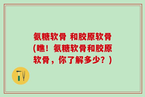 氨糖软骨 和胶原软骨(瞧！氨糖软骨和胶原软骨，你了解多少？)