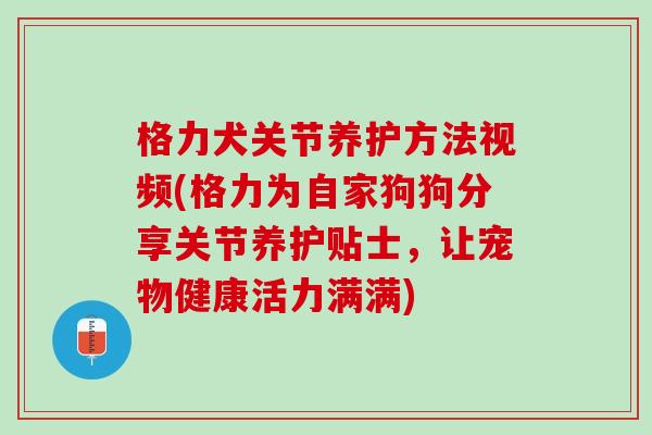 格力犬关节养护方法视频(格力为自家狗狗分享关节养护贴士，让宠物健康活力满满)