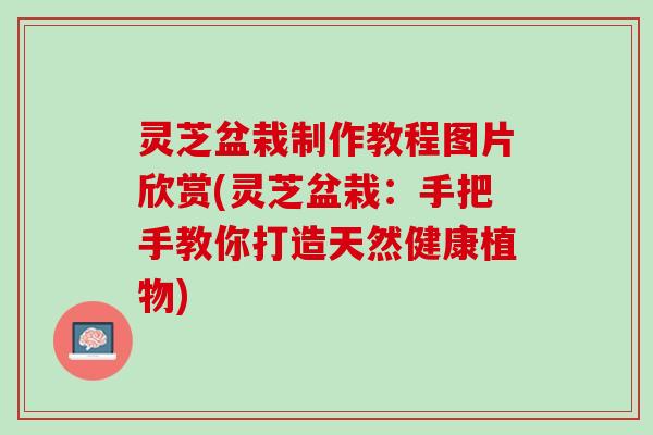 灵芝盆栽制作教程图片欣赏(灵芝盆栽：手把手教你打造天然健康植物)