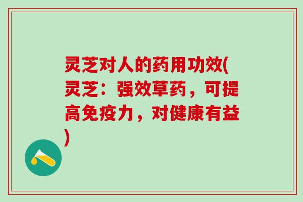 灵芝对人的药用功效(灵芝：强效草药，可提高免疫力，对健康有益)