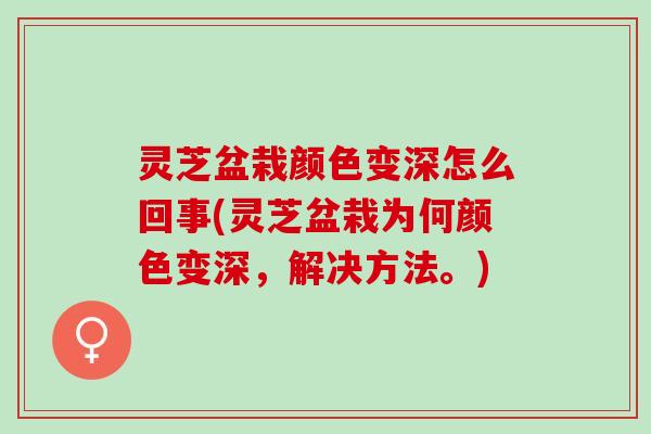 灵芝盆栽颜色变深怎么回事(灵芝盆栽为何颜色变深，解决方法。)