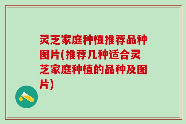 灵芝家庭种植推荐品种图片(推荐几种适合灵芝家庭种植的品种及图片)