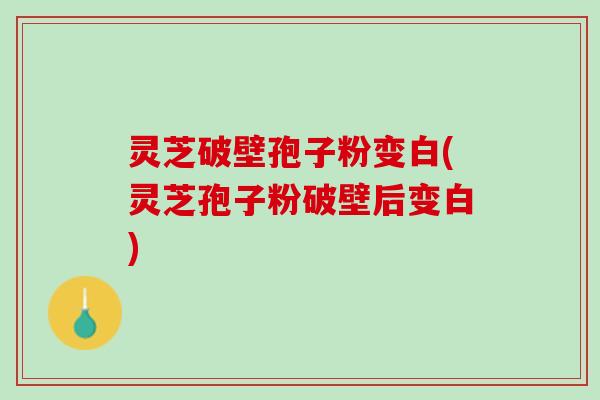 灵芝破壁孢子粉变白(灵芝孢子粉破壁后变白)