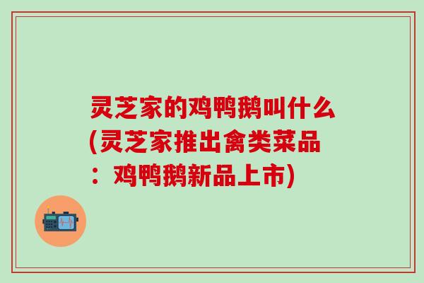 灵芝家的鸡鸭鹅叫什么(灵芝家推出禽类菜品：鸡鸭鹅新品上市)