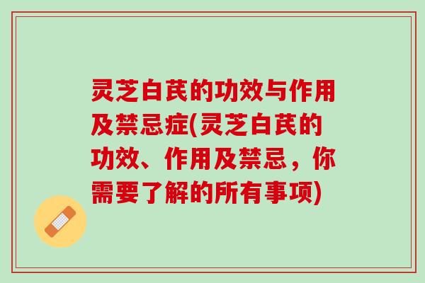 灵芝白芪的功效与作用及禁忌症(灵芝白芪的功效、作用及禁忌，你需要了解的所有事项)