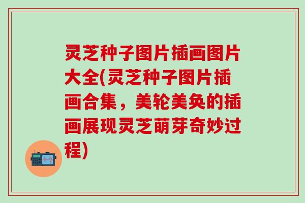灵芝种子图片插画图片大全(灵芝种子图片插画合集，美轮美奂的插画展现灵芝萌芽奇妙过程)