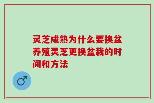 灵芝成熟为什么要换盆养殖灵芝更换盆栽的时间和方法