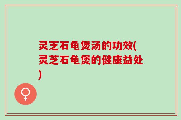 灵芝石龟煲汤的功效(灵芝石龟煲的健康益处)
