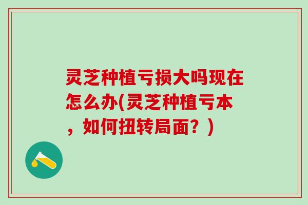 灵芝种植亏损大吗现在怎么办(灵芝种植亏本，如何扭转局面？)