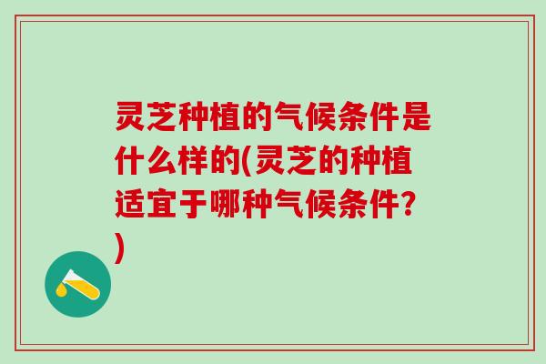 灵芝种植的气候条件是什么样的(灵芝的种植适宜于哪种气候条件？)