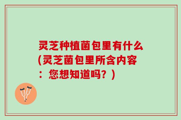 灵芝种植菌包里有什么(灵芝菌包里所含内容：您想知道吗？)