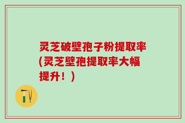 灵芝破壁孢子粉提取率(灵芝壁孢提取率大幅提升！)