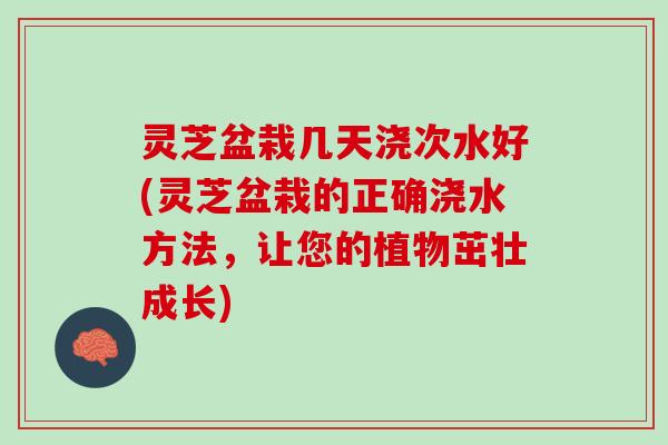 灵芝盆栽几天浇次水好(灵芝盆栽的正确浇水方法，让您的植物茁壮成长)