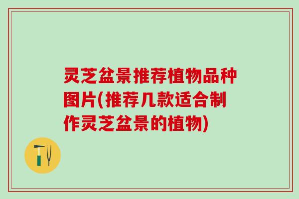 灵芝盆景推荐植物品种图片(推荐几款适合制作灵芝盆景的植物)