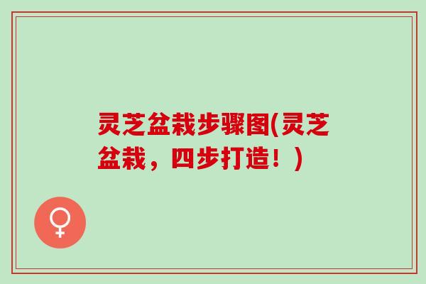 灵芝盆栽步骤图(灵芝盆栽，四步打造！)