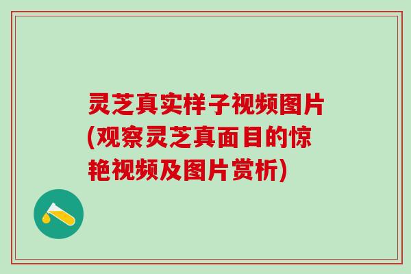 灵芝真实样子视频图片(观察灵芝真面目的惊艳视频及图片赏析)
