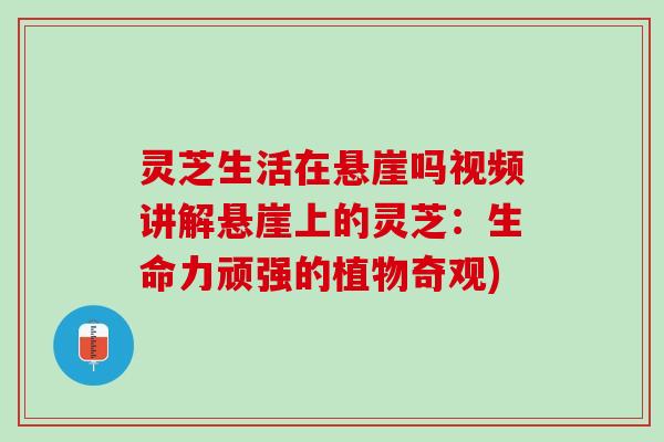 灵芝生活在悬崖吗视频讲解悬崖上的灵芝：生命力顽强的植物奇观)