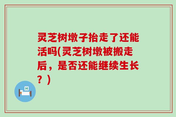 灵芝树墩子抬走了还能活吗(灵芝树墩被搬走后，是否还能继续生长？)