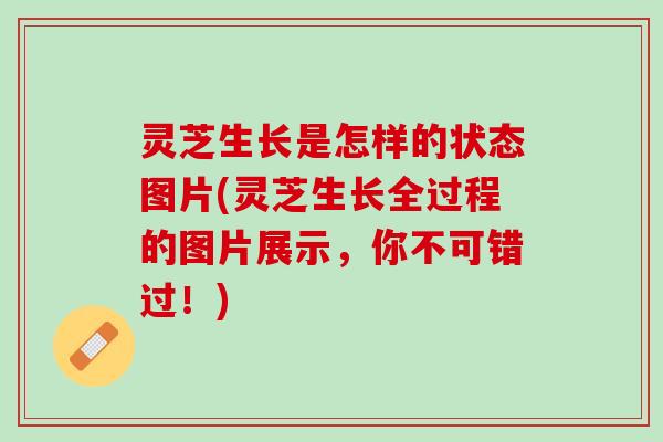 灵芝生长是怎样的状态图片(灵芝生长全过程的图片展示，你不可错过！)