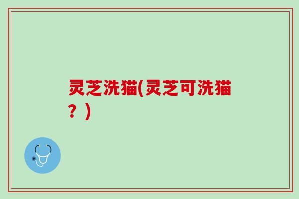 灵芝洗猫(灵芝可洗猫?) 灵芝洗猫(灵芝可洗猫?)