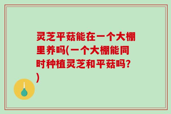 灵芝平菇能在一个大棚里养吗(一个大棚能同时种植灵芝和平菇吗?) 灵芝平菇能在一个大棚里养吗(一个大棚能同时种植灵芝和平菇吗?)