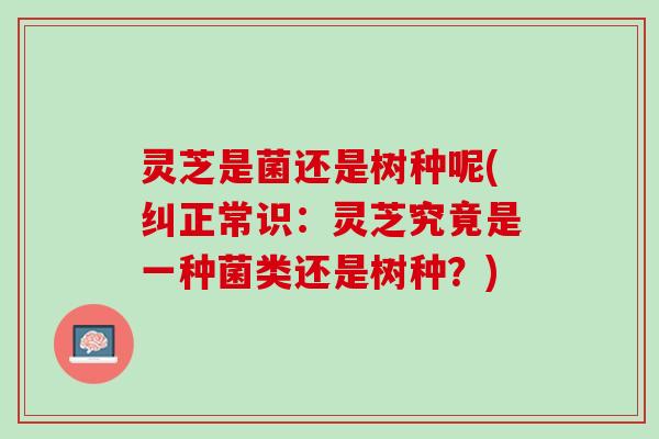 灵芝是菌还是树种呢(纠正常识：灵芝究竟是一种菌类还是树种？)