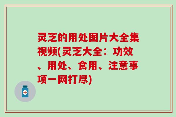 灵芝的用处图片大全集视频(灵芝大全：功效、用处、食用、注意事项一网打尽)