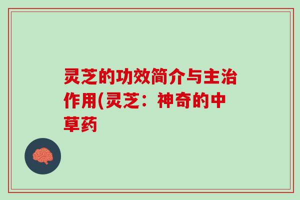 灵芝的功效简介与主治作用(灵芝：神奇的中草药