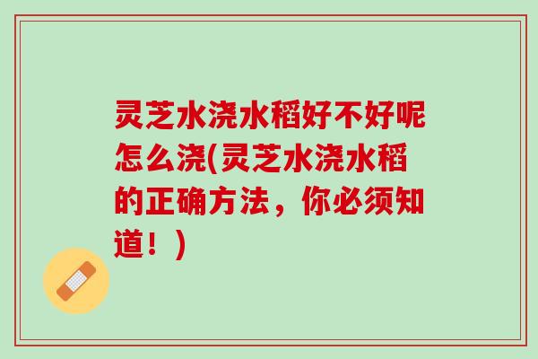 灵芝水浇水稻好不好呢怎么浇(灵芝水浇水稻的正确方法，你必须知道！)