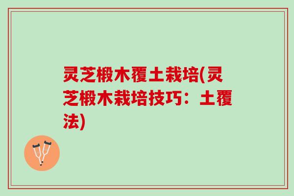 灵芝椴木覆土栽培(灵芝椴木栽培技巧：土覆法)