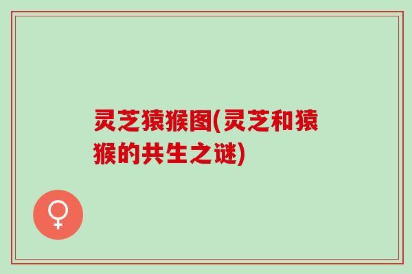 灵芝猿猴图(灵芝和猿猴的共生之谜)