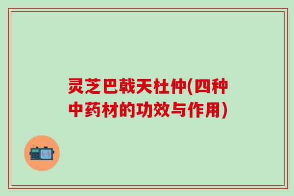 灵芝巴戟天杜仲(四种中药材的功效与作用)