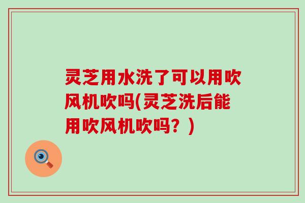 灵芝用水洗了可以用吹风机吹吗(灵芝洗后能用吹风机吹吗？)