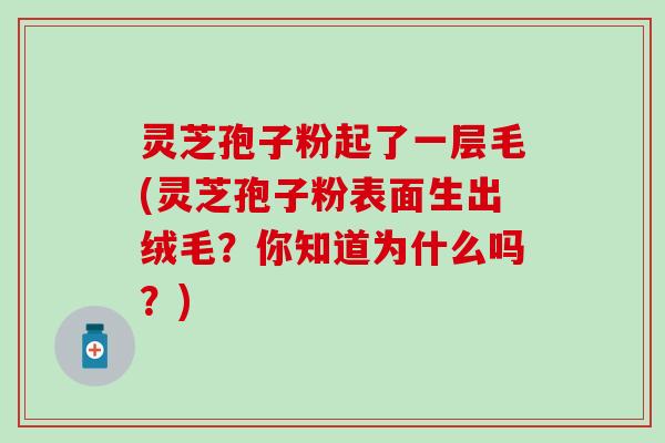 灵芝孢子粉起了一层毛(灵芝孢子粉表面生出绒毛？你知道为什么吗？)