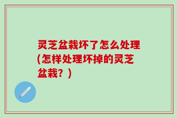 灵芝盆栽坏了怎么处理(怎样处理坏掉的灵芝盆栽？)