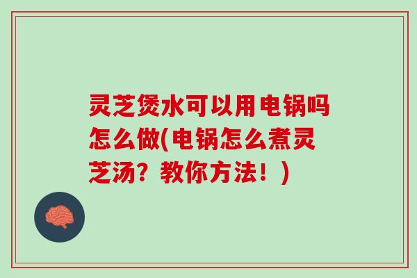 灵芝煲水可以用电锅吗怎么做(电锅怎么煮灵芝汤？教你方法！)